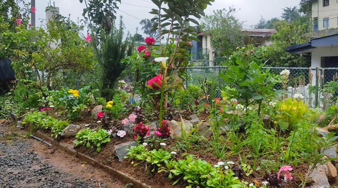 Townside Lodge Nuwara Eliya Buitenkant foto